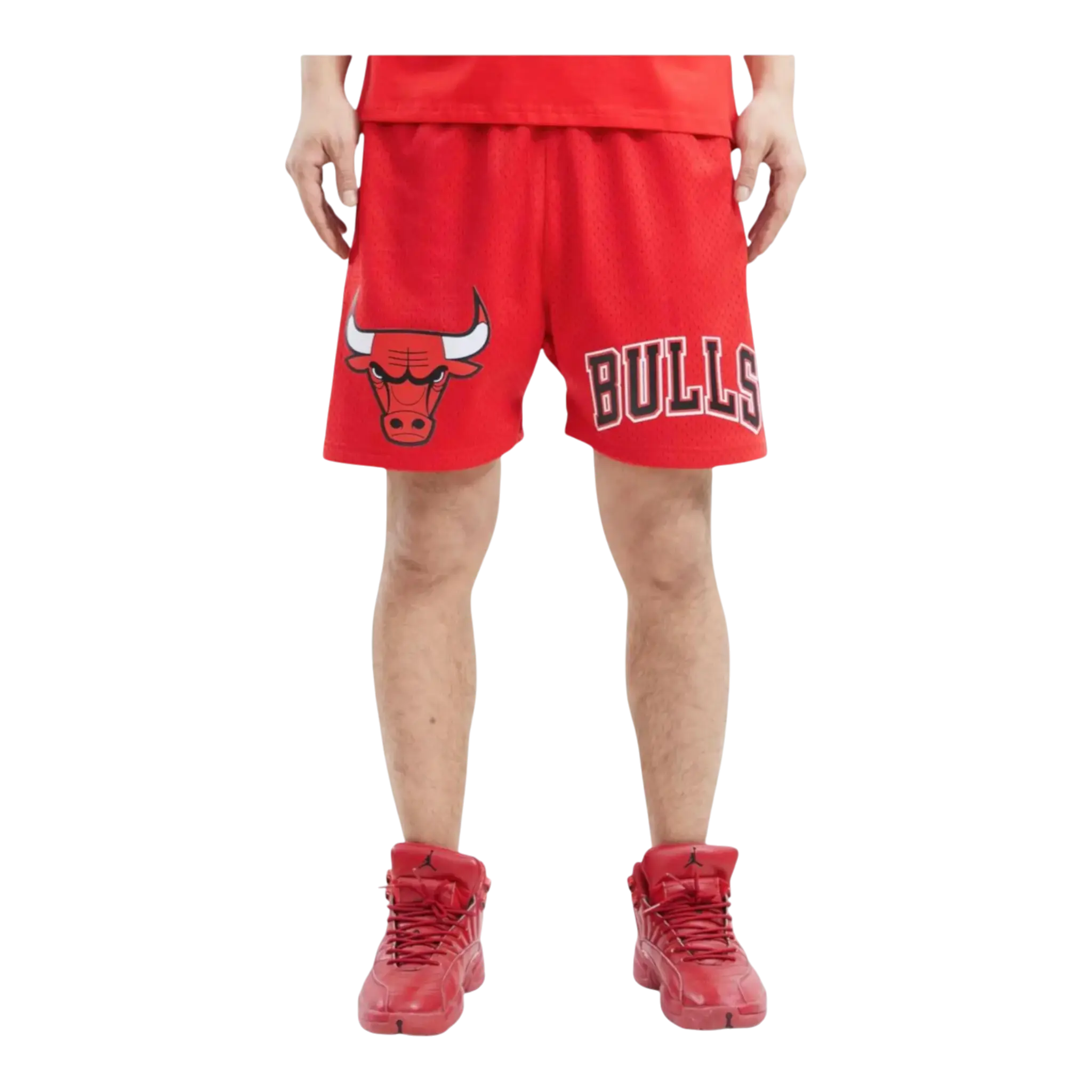 Pro Standard NBA Chicago Bulls Logo Men Mesh Shorts Red